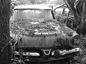 Autofriedhof - 157